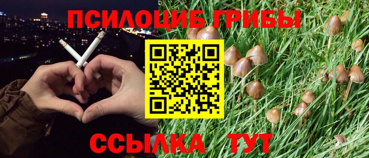 Галлюциногенные грибы Psilocybine cubensis Мирный